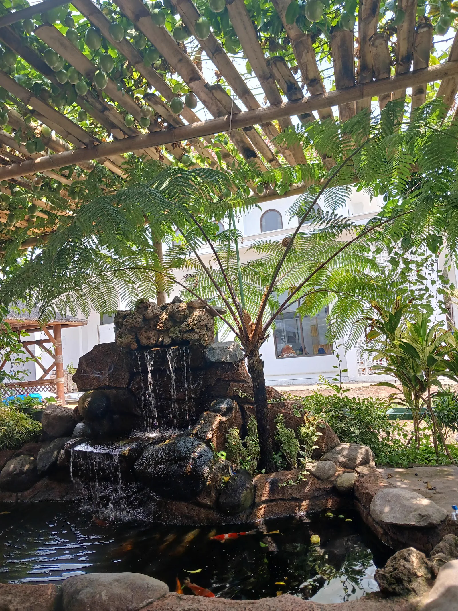 Taman dan kolam di lingkungan pondok